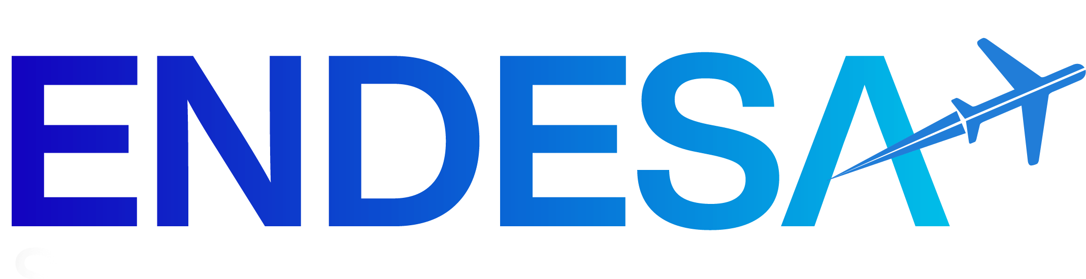 ENDESA STUDY ABROAD PRIVATE LIMITED